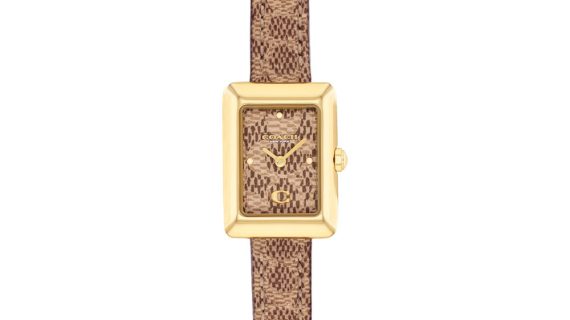 Women Mara Brown Watch