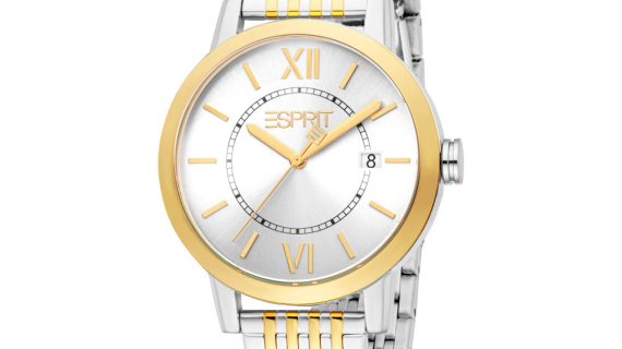 Men Benjamin Two Tone Watch