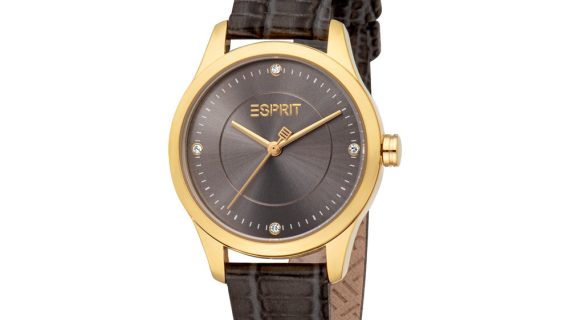 Women Renata Grey Watch