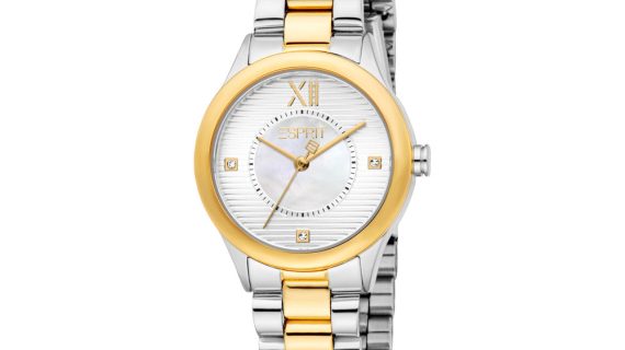 Women Zuri Two Tone Watch