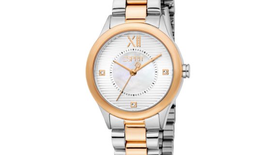 Women Zuri Two Tone Watch