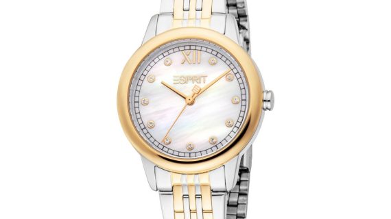 Women Elliana Two Tone Watch