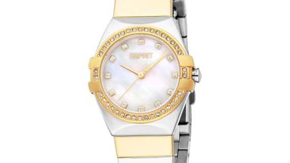 Women Abigail Two Tone Watch