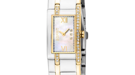 Women Houston Glitter Two Tone Watch