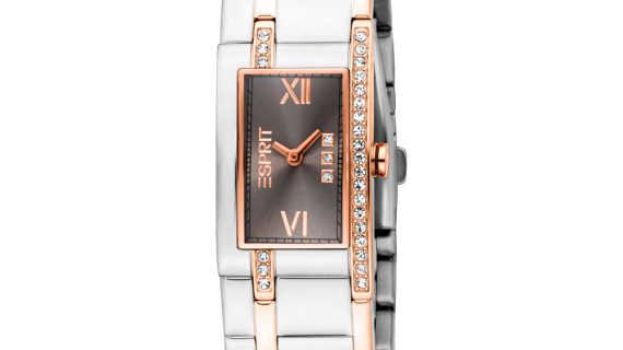 Women Houston Glitter Two Tone Watch