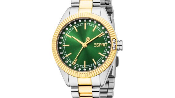 Women Lizette Two Tone Watch