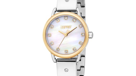 Women Elisa Silver Watch