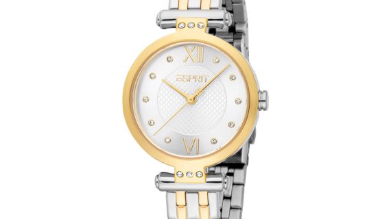 Women Skye Two Tone Watch
