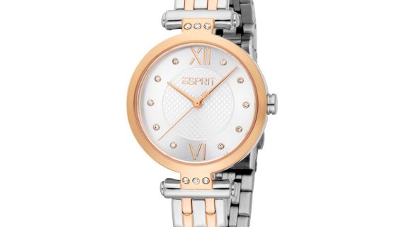 Women Skye Two Tone Watch
