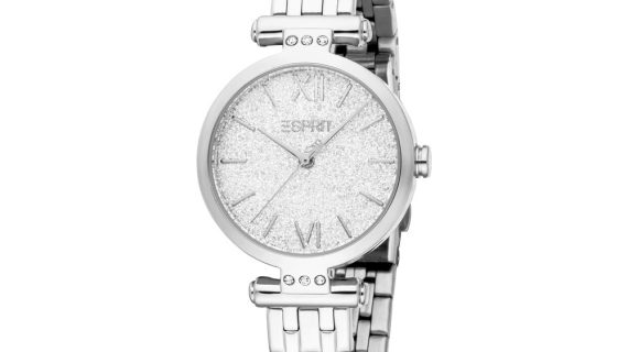 Women Skye Glitter Silver Watch
