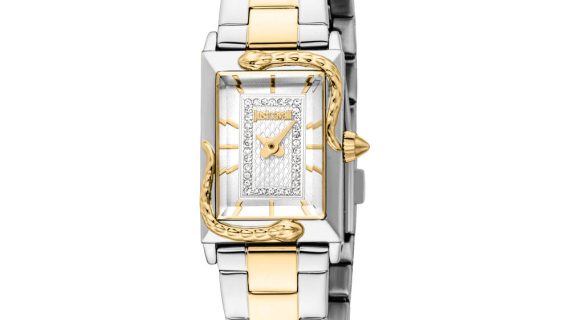 Women Dolcezza Two Tone Watch