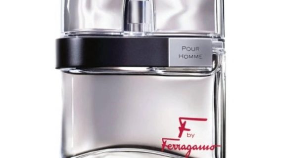 Salvatore Ferragamo F by Ferragamo EDT for Him - 100 ml