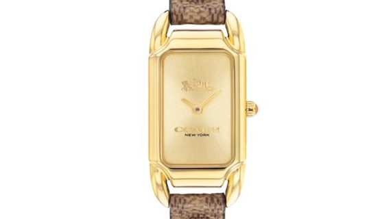Cadie Women Gold Quartz/Analog Watch